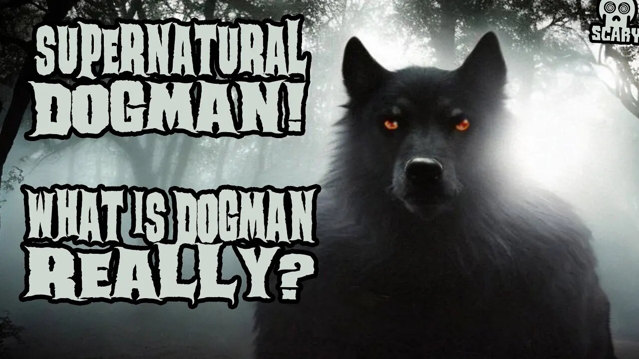 Spooky Supernatural Dogman Stories Told in the Rain Audiobook