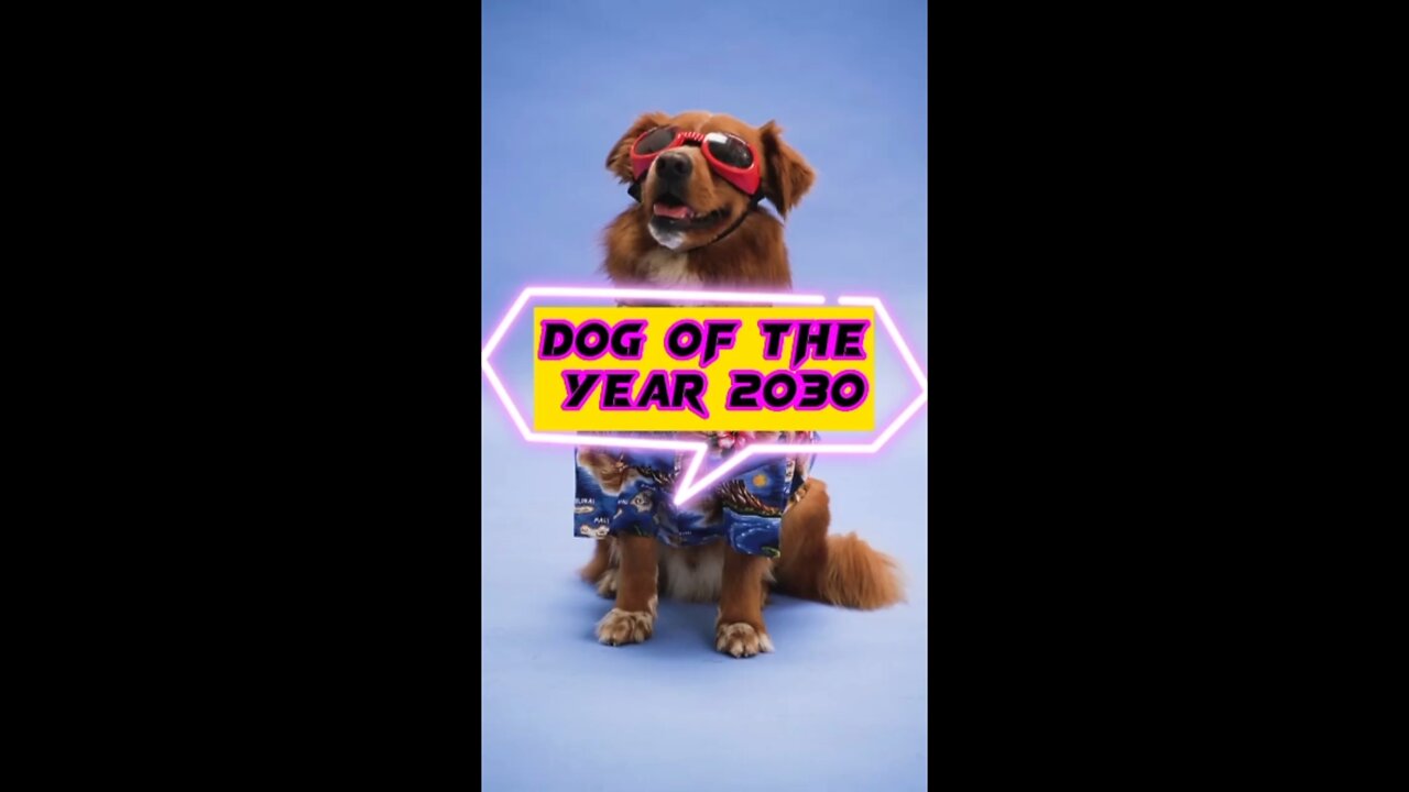 Dog of the year 2030