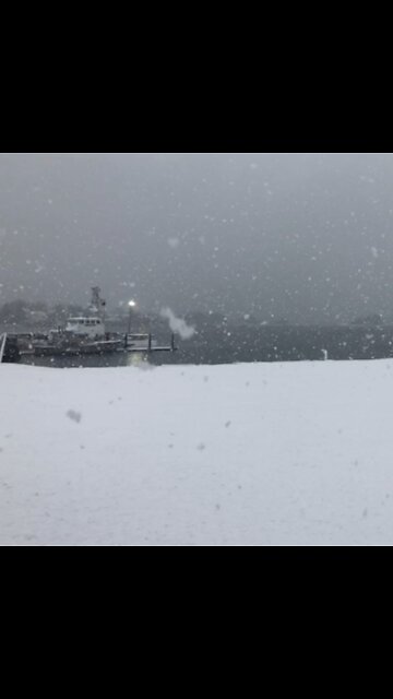 Huge snowflakes. Jonesport, Maine