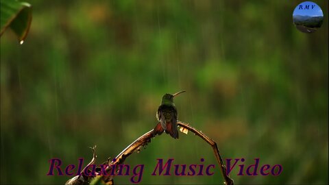 Calm Music for Relaxation...Relaxing Music Video...RMV...