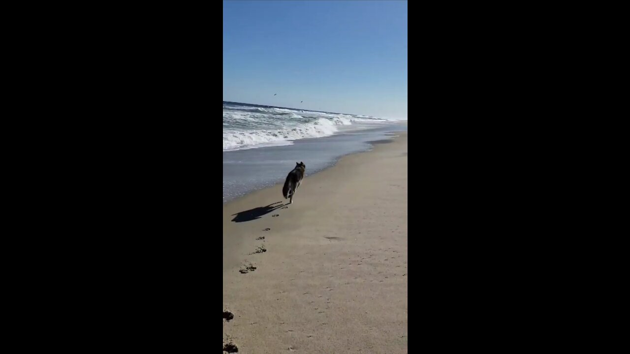 Beach Day!