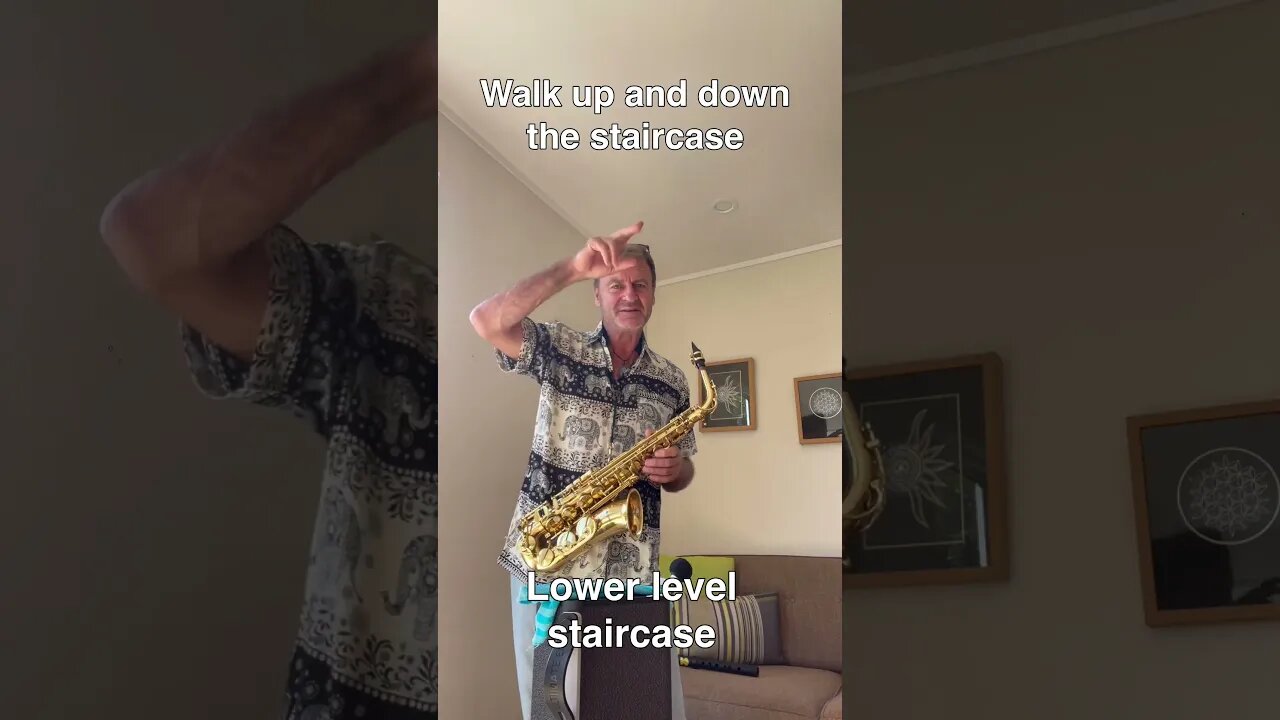 Get started on the Saxmonica staircase #musiclessons #saxophone #music