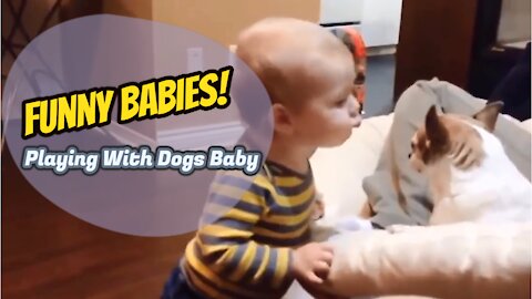 Funny Babies! Playing With Dogs Baby Pet Videos Funny Baby