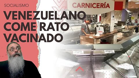 DEPUTADO do PT fala que VENEZUELANO pode COMER RATO se o RATO for VACINADO, fazendo TROÇA com a FOME