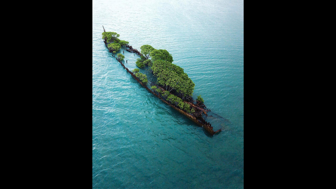 Forest on the Wreck Ship | Google Earth Travel