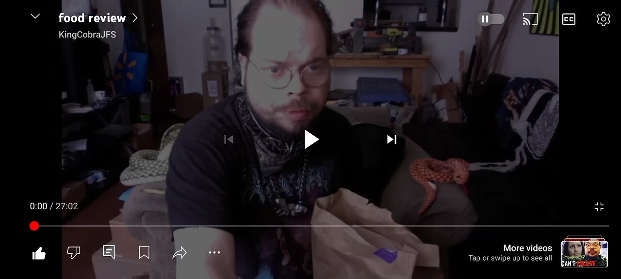 hanging with cobes take #11 food review
