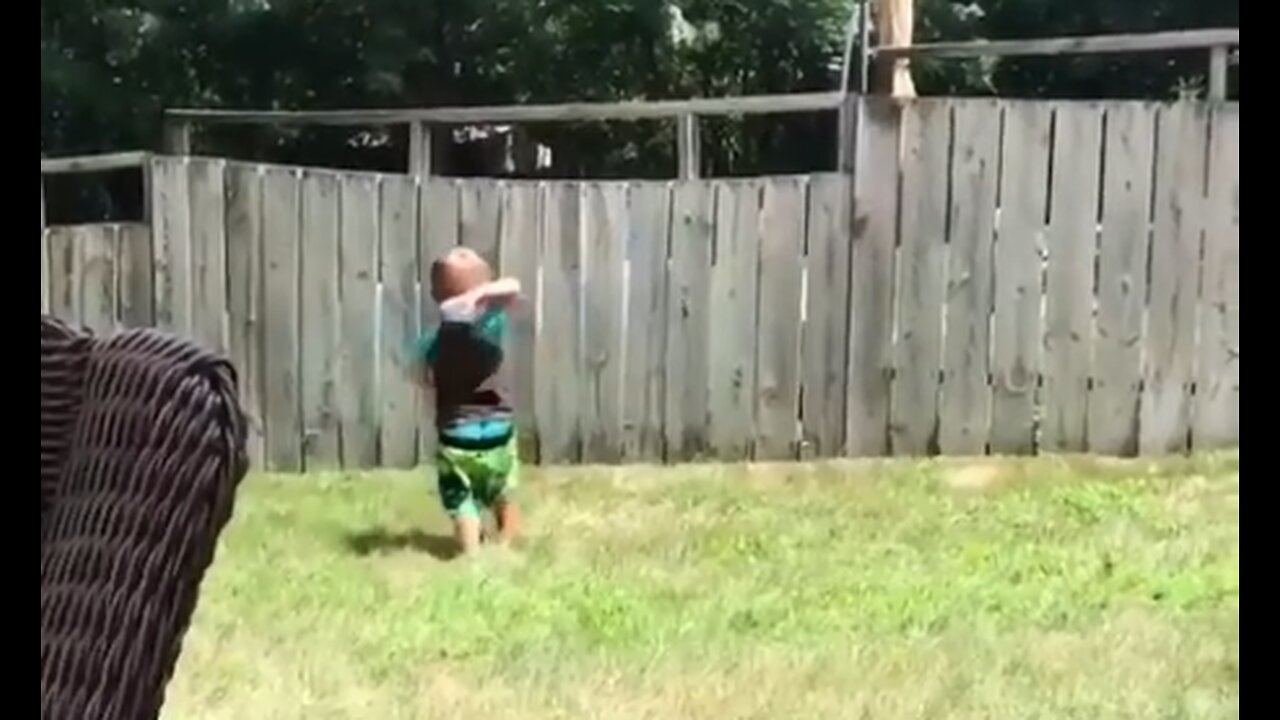 Playing fetch with the neighbor's dog