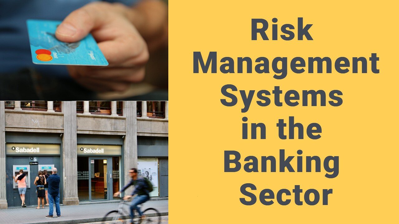 Risk Management Systems in the Banking Sector (Risks and Risk Management in Banking Sector)