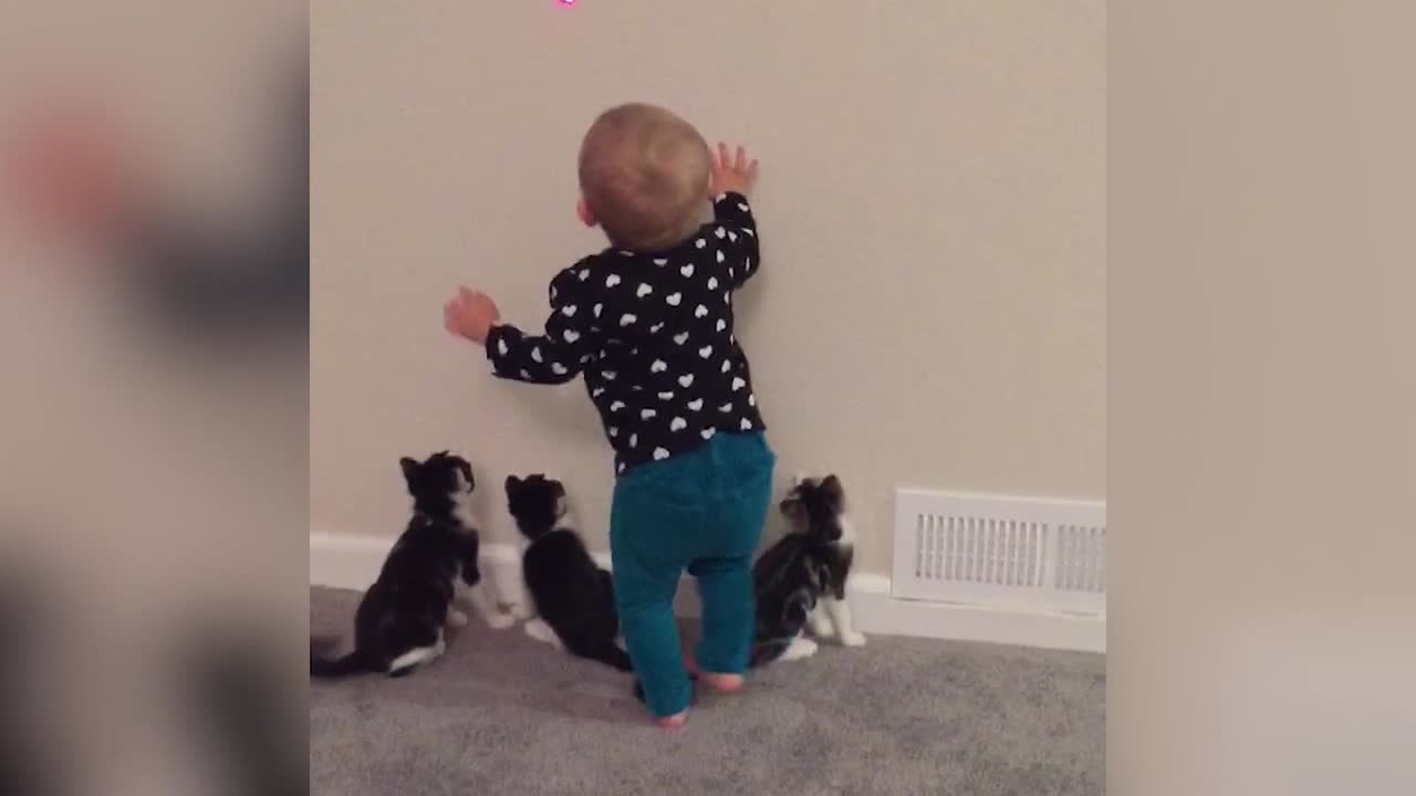 Kids and Kitties