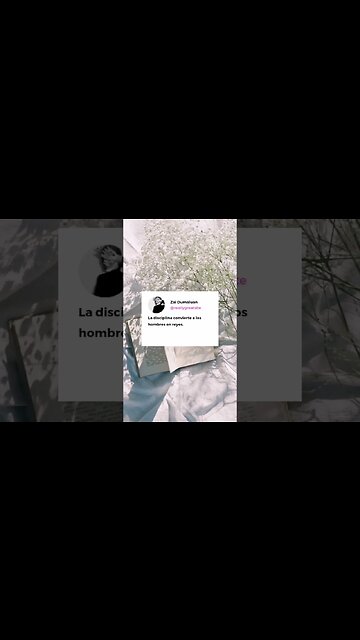 Sin más que agregar