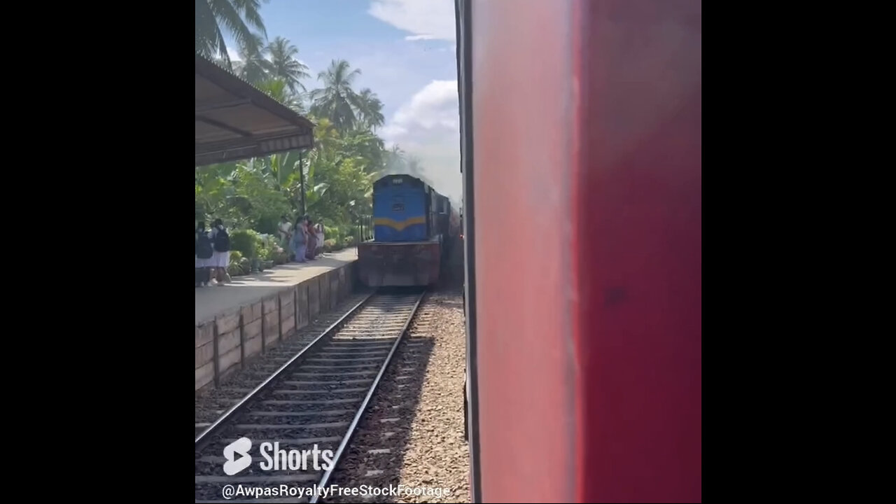 Summertime Train Ride through the Countryside