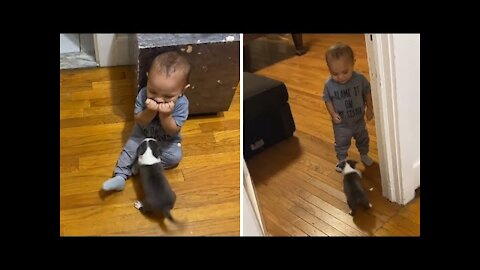 Baby has adorable reaction to new puppy addition