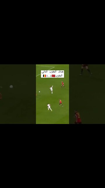 أهداف المغرب وبلجيكا كأس العالم قطر 2022
