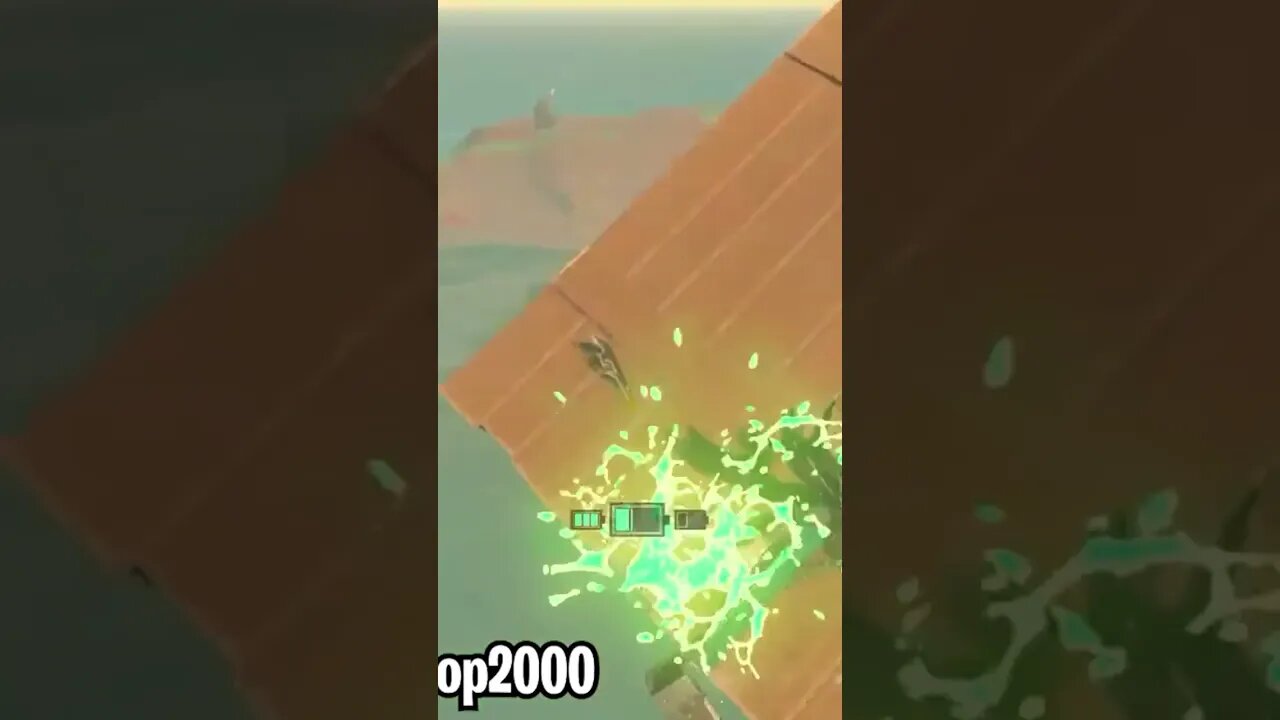 Horses can fly in Zelda TotK