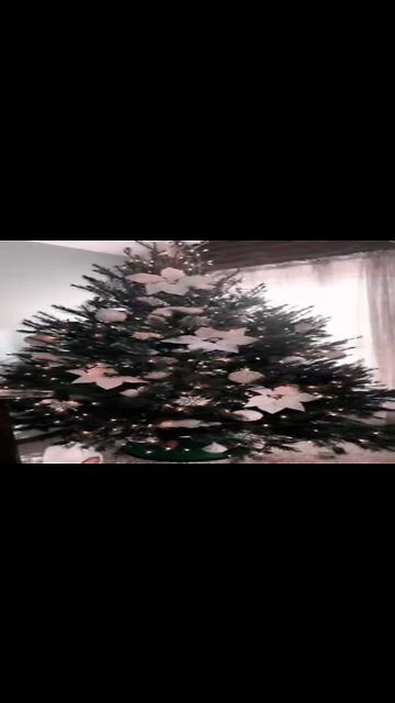 Christmas decorating has begun!!!!!