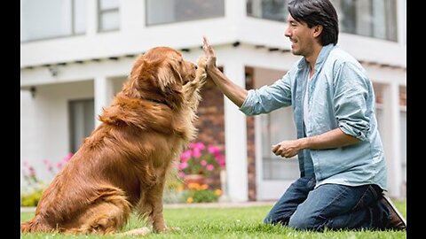 Fanny Dog 🐕 training video best dog training video my cute 🐶 training