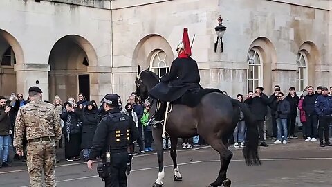 Horse to scared go back to box after protest #horseguardsparade