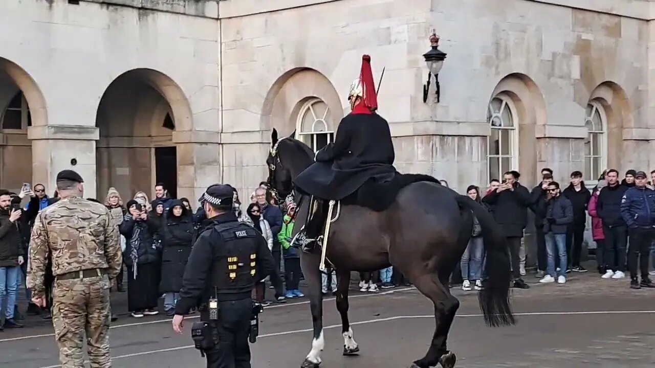 Horse to scared go back to box after protest #horseguardsparade