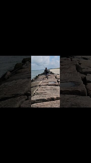 Something HUGE pulling him down the ROCKS!🦈