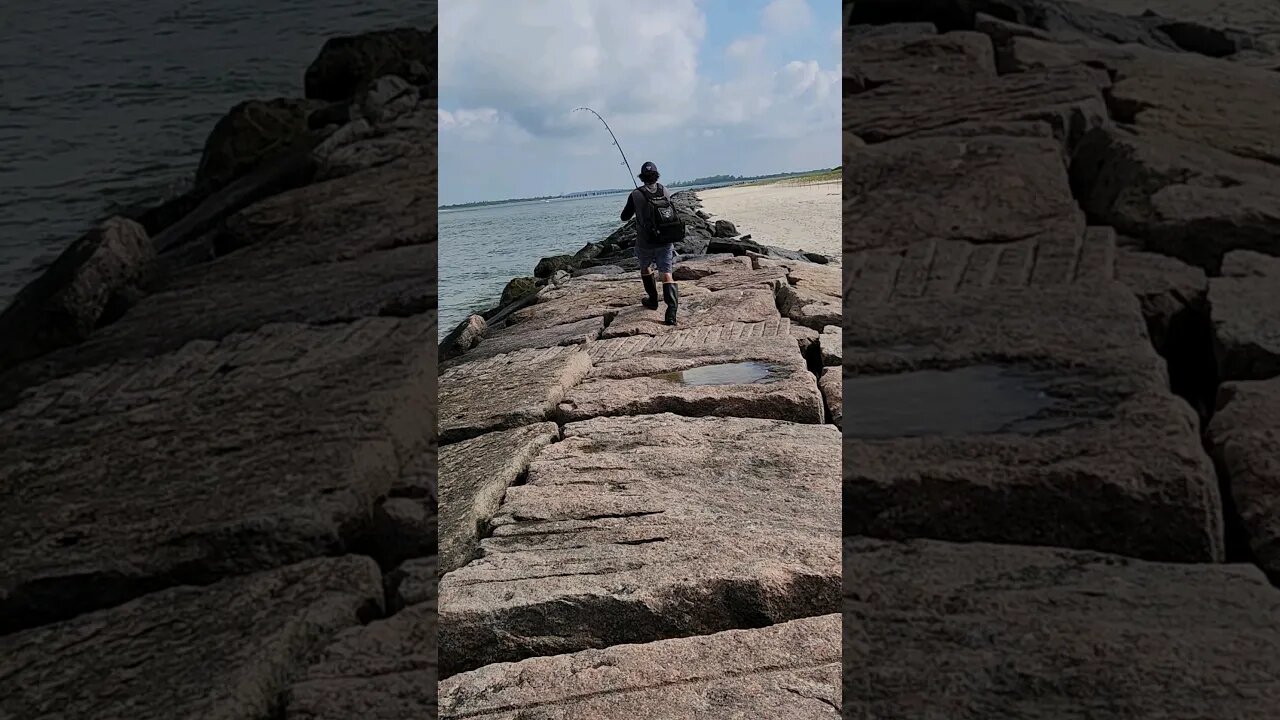 Something HUGE pulling him down the ROCKS!🦈