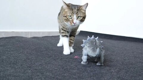 Cat Meets a Dinosaur