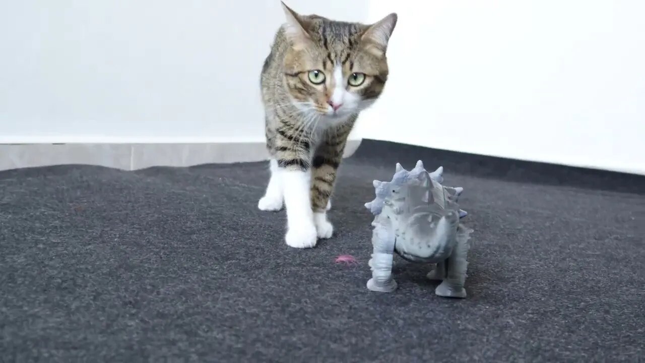 Cat Meets a Dinosaur
