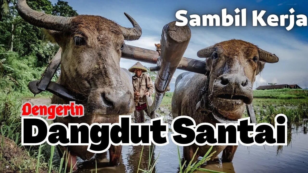 Live Stream Dangdut Santai