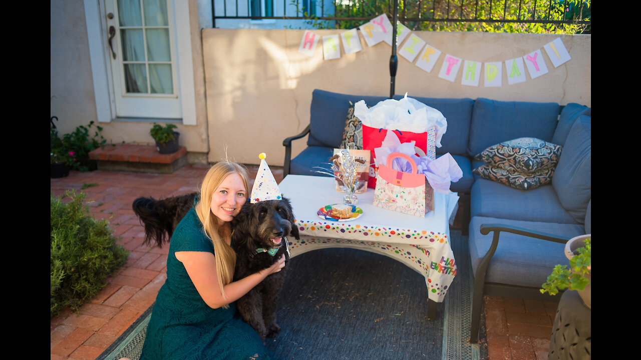 Brie Dog's Birthday Party 2020!