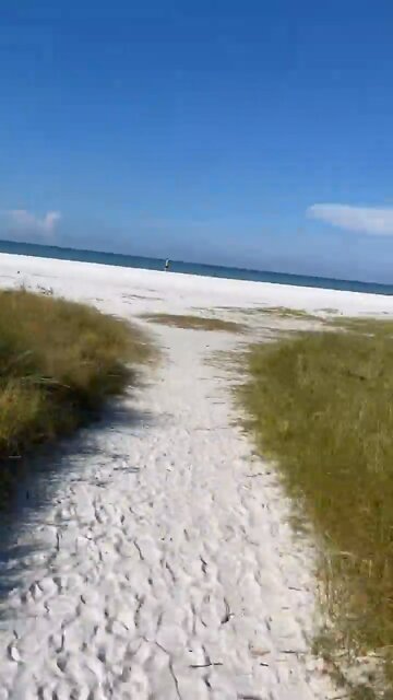 siesta key