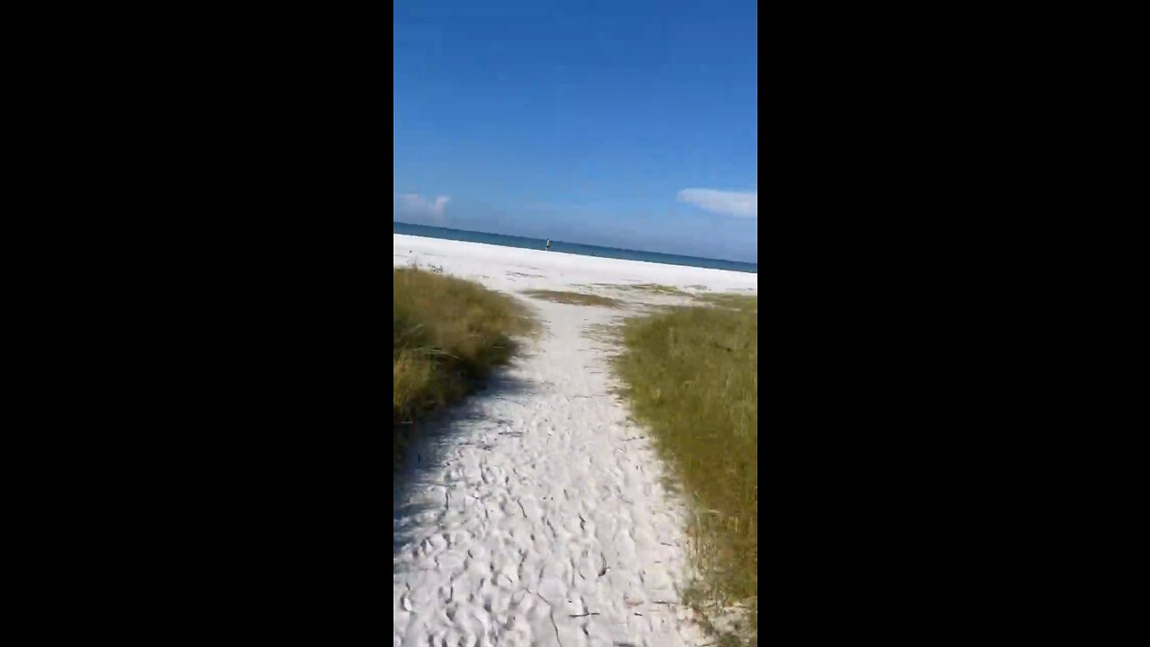 siesta key