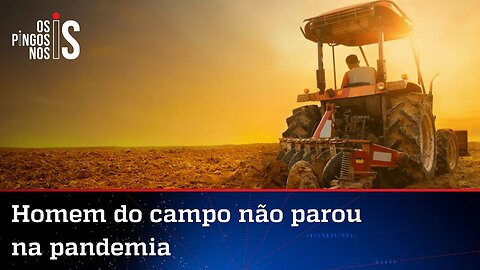 Agro do Brasil bate recorde de exportação mesmo durante a pandemia