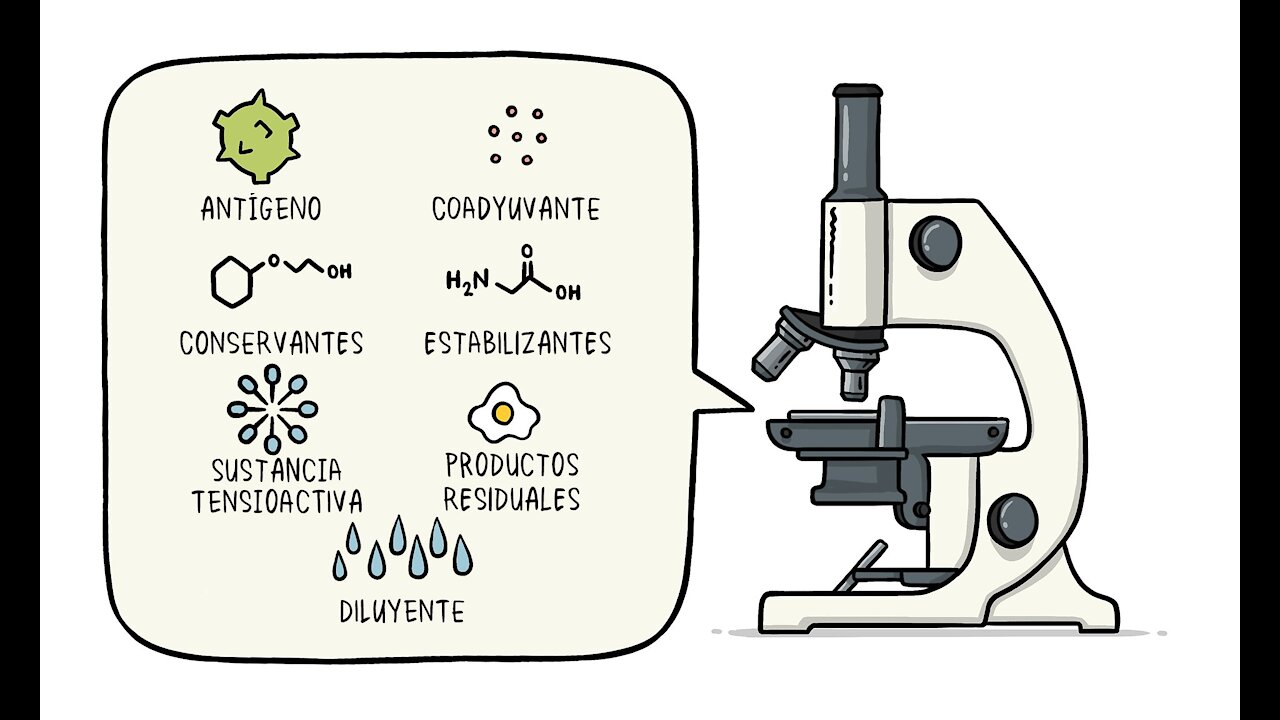 COMPONENTES EXTRAÑOS EN LAS VACUNAS