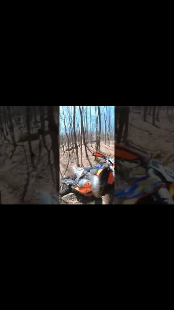 Nice try 😝 #hardenduro #enduro #failsoftheweek #motocross #ktm #insta360 #hindi #dirtbike #fail