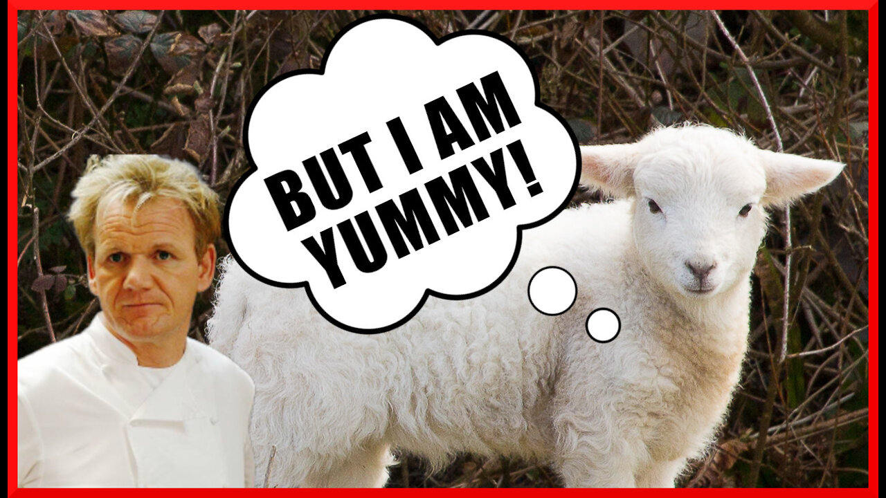 How The Gordon Ramsay Lamb TikTok Video Shows We're COMPLETELY DISCONNECTED FROM OUR FOOD SOURCES