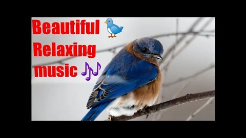 Beautiful Relaxing Music - Stress Relief Music, Positive Energy, Morning Music