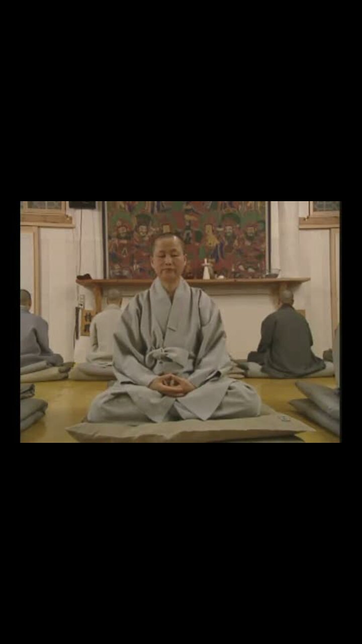 その他 Zen Buddhism: In Search of Self [DVD] Zen Buddhism – In Search of Self – Dharma Documentaries