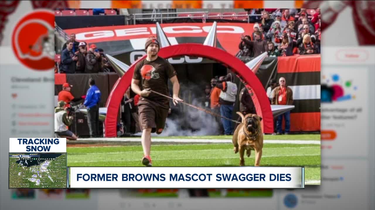 Former Browns mascot Swagger dies unexpectedly at the age of 6