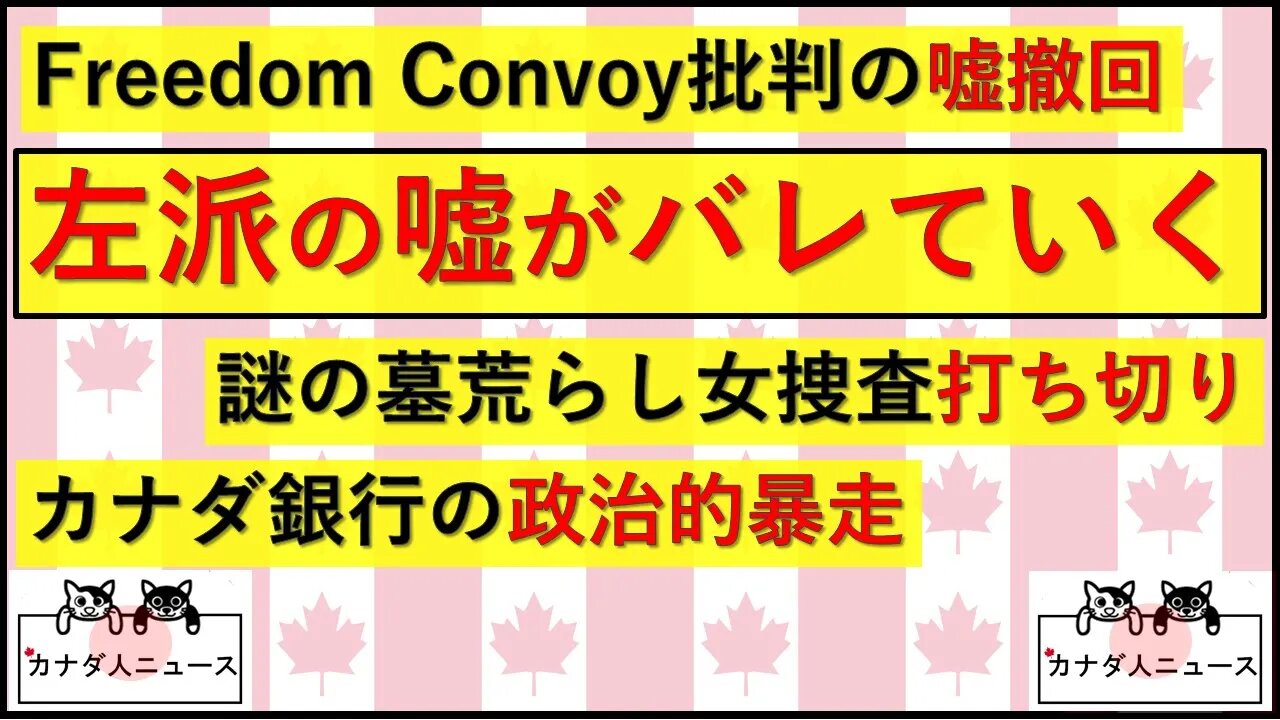 3.13 Freedom Convoyの汚名が晴らされていっている