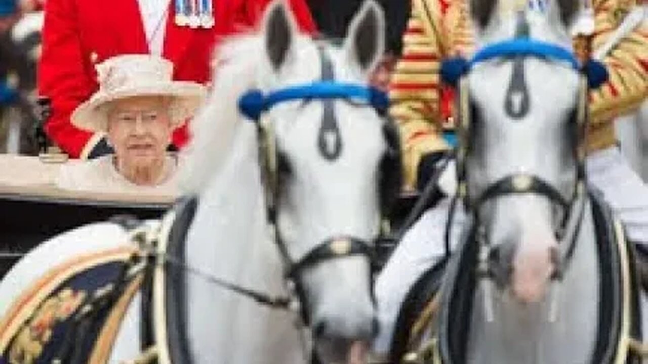 VIRAL VIDEO! ROYAL CORONATION WINDSOR GREY HORSES & THE 4TH, GREEN HORSE OF APOCALYPSE MY REVELATION