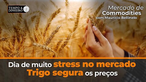 Em dia de muito stress no mercado, com dados negativos dos EUA, trigo segura os preços em Chicago