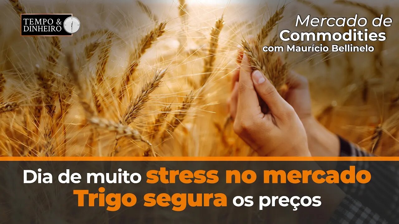 Em dia de muito stress no mercado, com dados negativos dos EUA, trigo segura os preços em Chicago