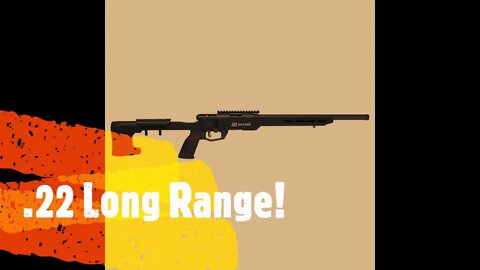 Savage 22lr