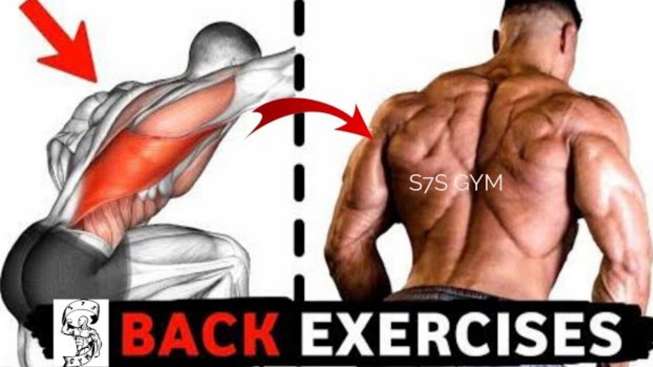 Back workout | Fitness workout | S7S GYM