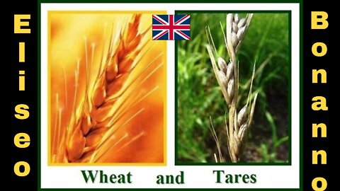 TARES AND WHEAT, THE TARES WILL BURN IN THE GEENNA.