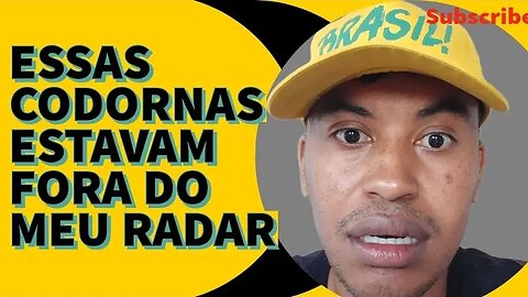 CODORNAS POUCO CONHECIDAS NO BRASIL/ FAZER RENDA EXTRA