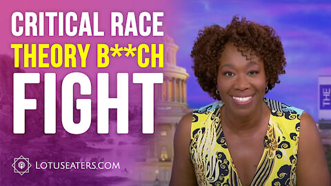 The Critical Race Theory B**ch Fight