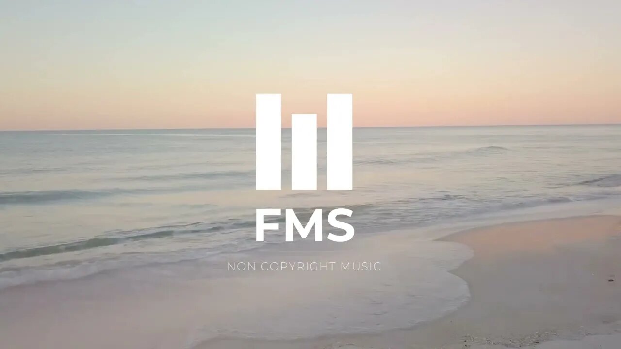 FMS - Free Non Copyright EDM Music #050