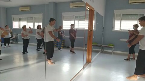 Tai chi clase de manos como nubes y latigo simple