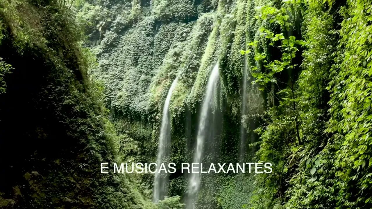 Intro Mindfulness Músicas & Sons