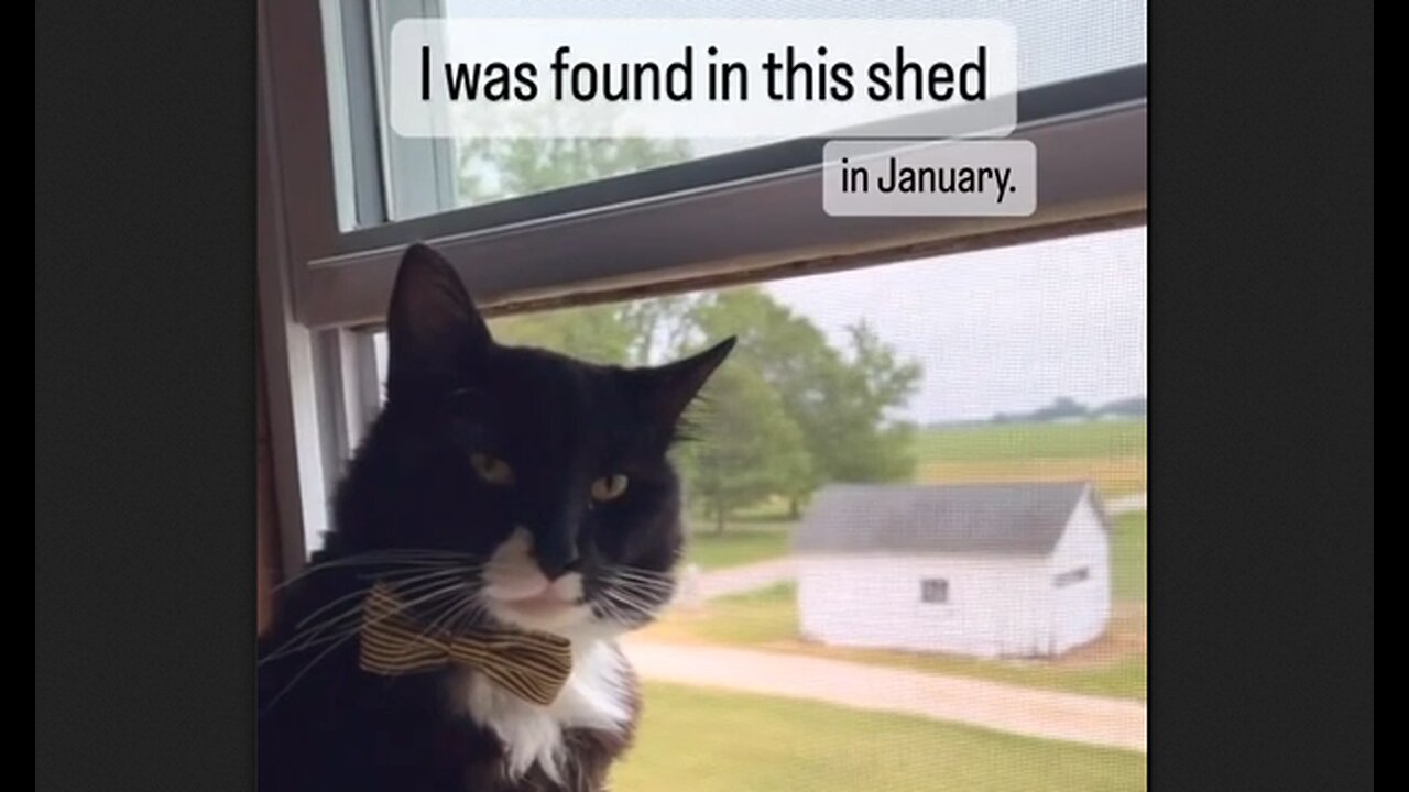 This Is Carl, He Was Found In This Shed